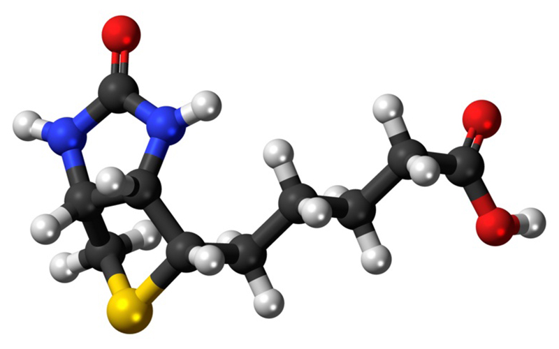 Biotin (D-Biotin)
