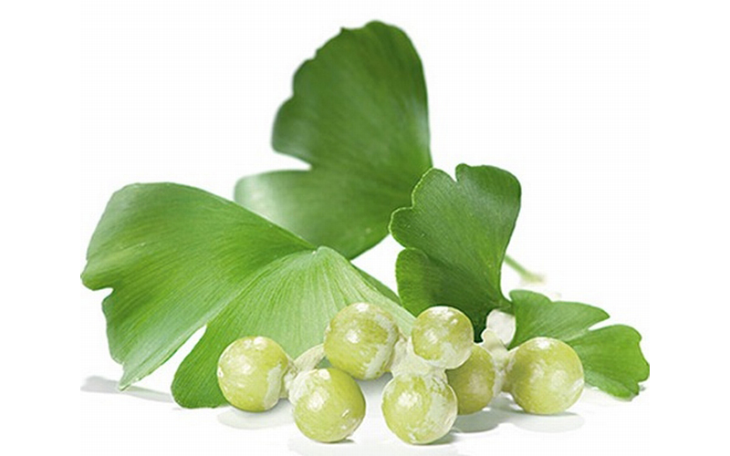 Bạch quả - Ginko Biloba