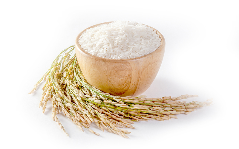 Ceramide (từ gạo)