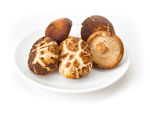 NẤM SHIITAKE NHẬT BẢN